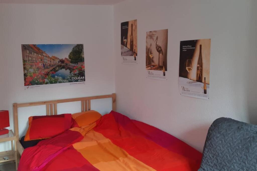 Gite De Benedicte Ancienne Douane Colmar Exteriör bild